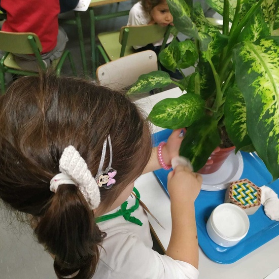 RINCÓN DE VIDA PRÁCTICA (MONTESSORI) 2