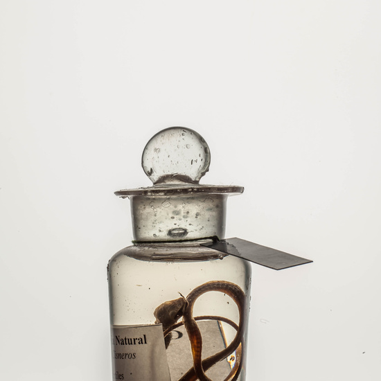 IES_CARDENALCISNEROS_CIENCIASNATURALES_242