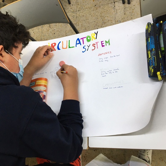 Learning by doing 6th Grade, Body Systems. 2