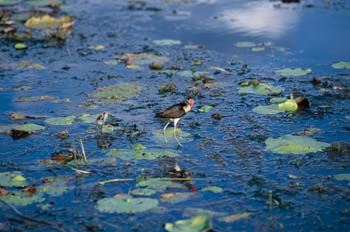 Parque Nacional Kakadu, Australia
