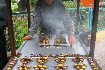 Vendedor ambulante de castañas, Estambul, Turquía