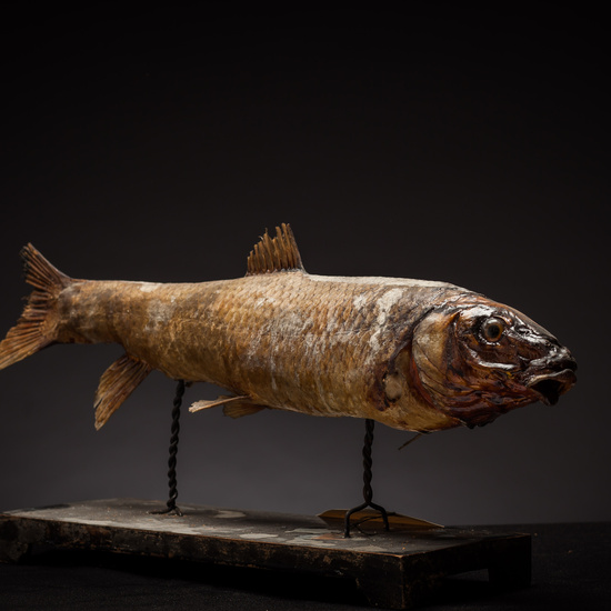 IES_SANISIDRO_BIOLOGIA_379