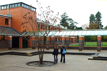 Patio de colegio