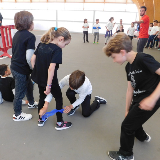 olimpiadas 3º primaria 14