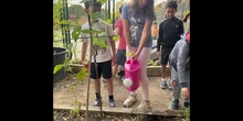 4º en el huerto_Primer Trimestre_CEIP FDLR_Las Rozas