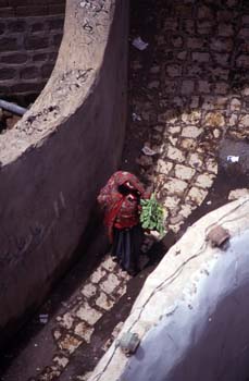 Mujer pasando por una calle, con manojo de verduras, Yemen