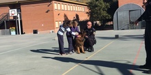 2017_11_13_UNIDAD CANINA MUNICIPAL_CEIP FDLR_LAS ROZAS_2017 9