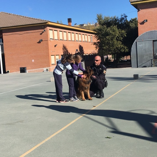 2017_11_13_UNIDAD CANINA MUNICIPAL_CEIP FDLR_LAS ROZAS_2017 9