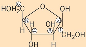Beta-D-fructofuranosa