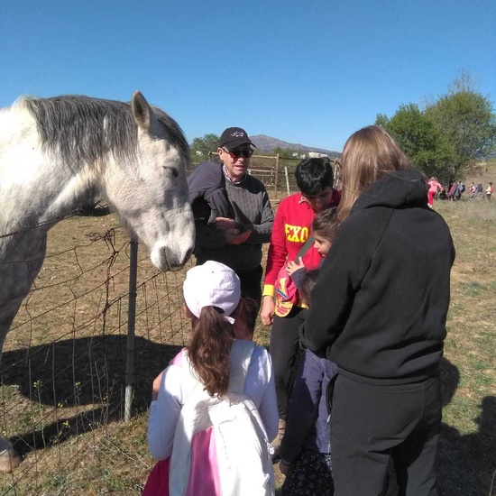 SALIDA A NUESTRO ENTORNO 1