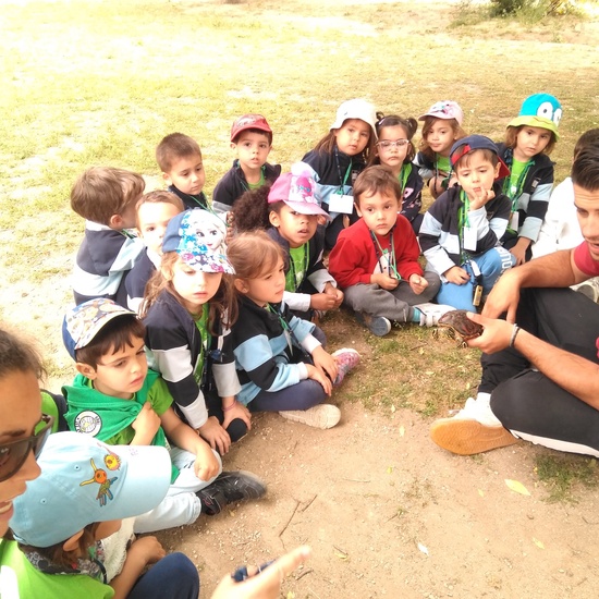 Infantil 3 años en la granja_CEIP Fernando de los Ríos_Las Rozas_2017-2018 13