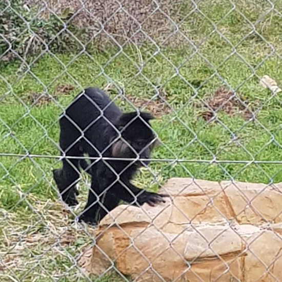 2020-01-15 visita rainfer 1