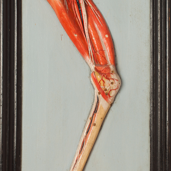 IES_SANISIDRO_BIOLOGIA_358