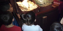 Visita a la exposición El Bosque. 1º 2º Primaria. CEIP Pinocho. 2016/17 13