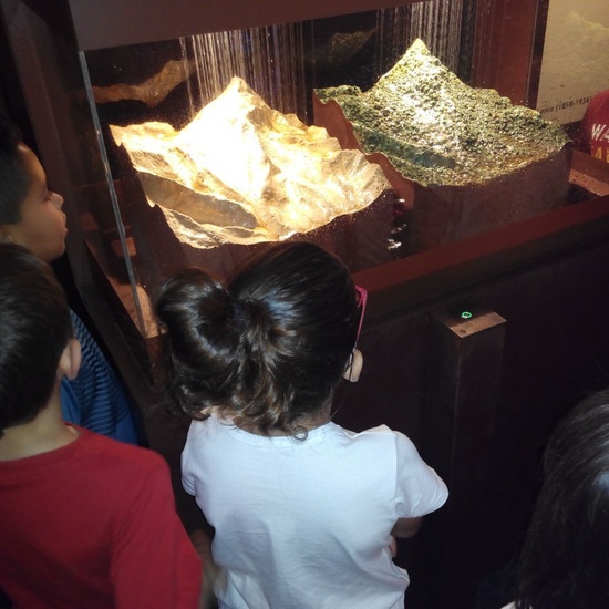 Visita a la exposición El Bosque. 1º 2º Primaria. CEIP Pinocho. 2016/17 13