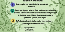 Instrucciones Tarea 5 Canva 