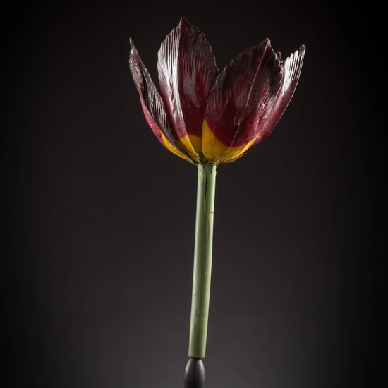 IES_CARDENALCISNEROS_BOTÁNICA_III_MODELOS_025