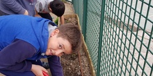 5º PLANTA EN EL HUERTO_CEIP FDLR_LAS ROZAS 8