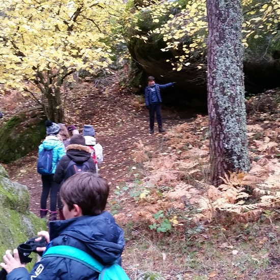 MANZANARES EL REAL 2