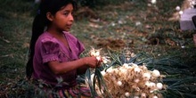 Joven preparando cebollas en San Pedro La Laguna, Guatemala
