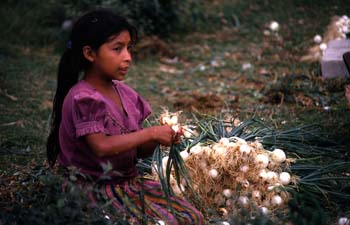 Joven preparando cebollas en San Pedro La Laguna, Guatemala