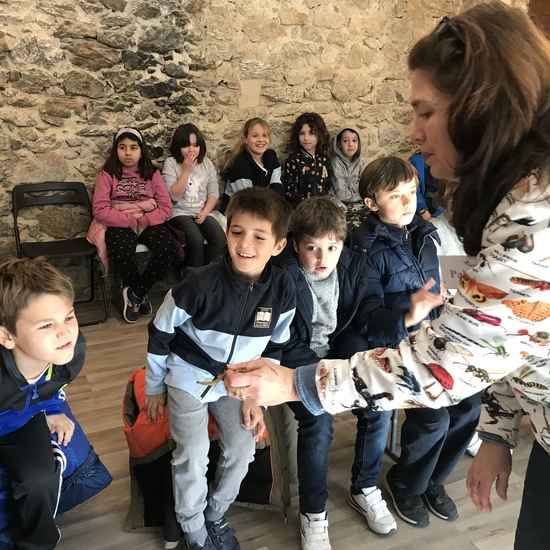 2020_02_27_3º visita Insectpark (3)_CEIP FDLR_Las Rozas 31