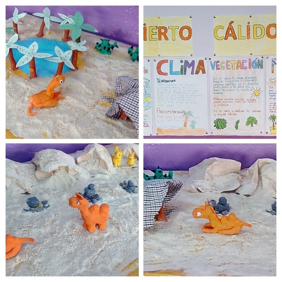 ECOSISTEMAS 5º CURSO 1