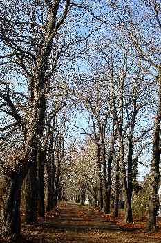Camino del Cementerio de Kerepesi, Budapest, Hungría