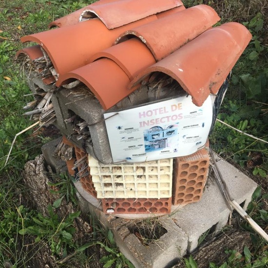 Albergue 6º - 3º día (mañana) 11