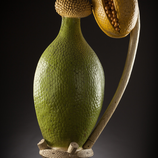 IES_SANISIDRO_BIOLOGIA_249