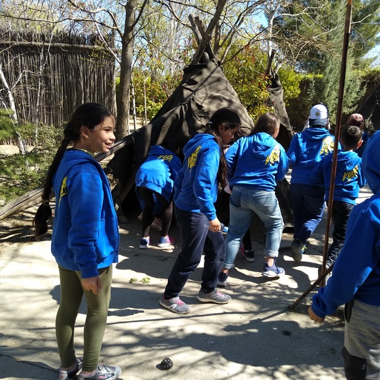 Arqueopinto 4º 19 21