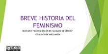 Breve historia del feminismo