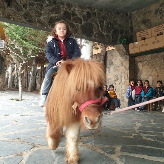 Excursión a la granja (Infantil) 3