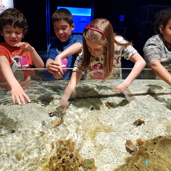 Fotos Aquarium Xanadú 3ºB 14