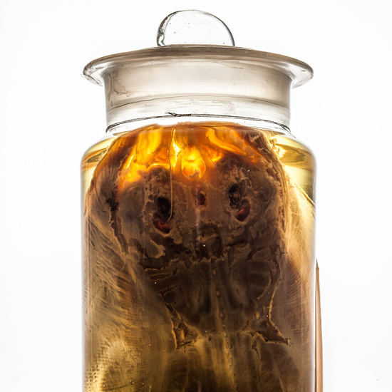 IES_SANISIDRO_MUSEO_BOTES_022