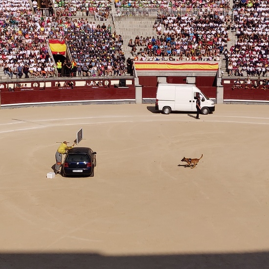 Las Ventas 2019 27