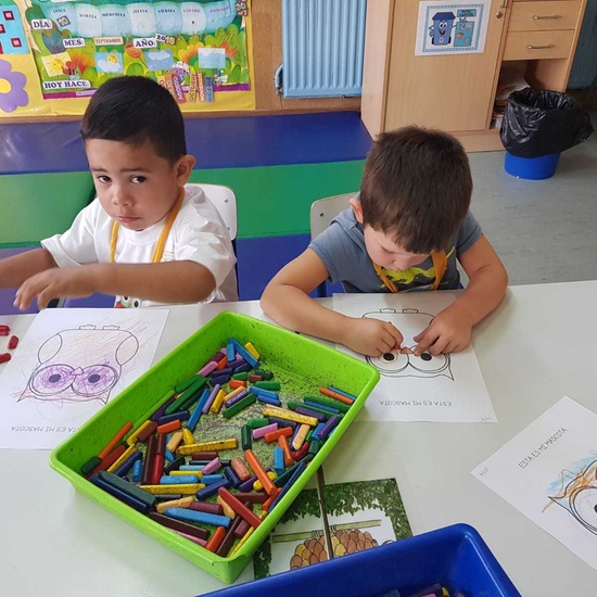 2018_10_25_Los buhos de 3 años perfectamente adaptados 14