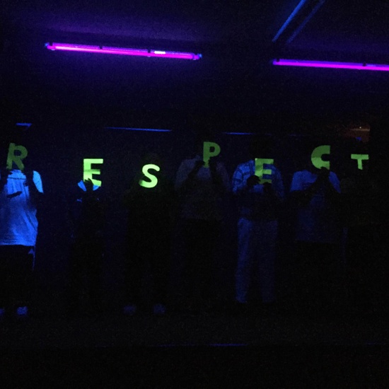 PROYECTO MUSE 2018-19 16