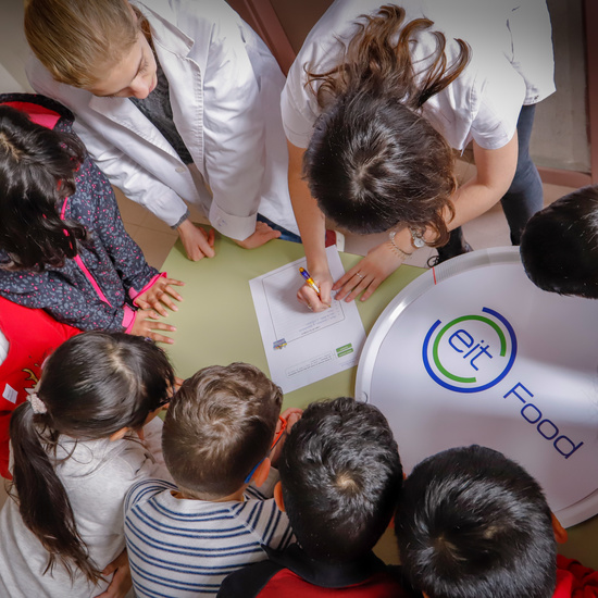 TALLER DE ALIMENTACIÓN 