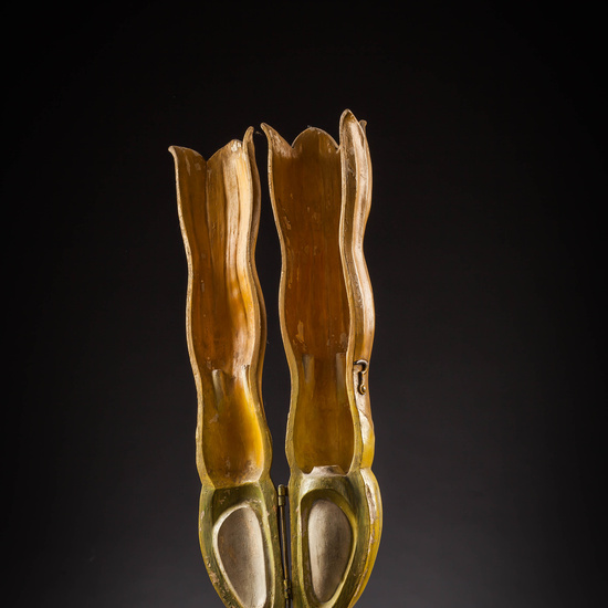 IES_SANISIDRO_MUSEO_Botanica_021