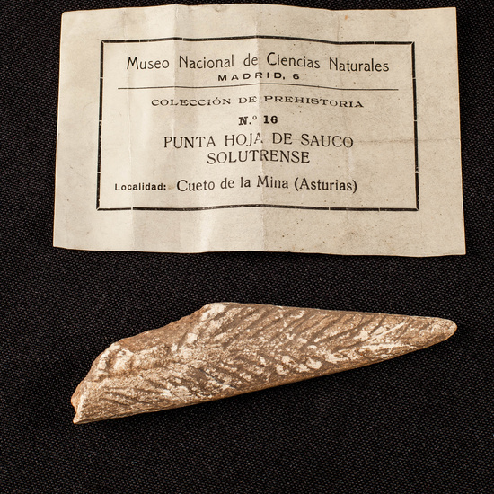 IES_SANISIDRO_MUSEO_Paleologia_030