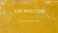 Tipos de insectos
