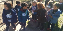 2016_inf 4 años a visita la granja 17