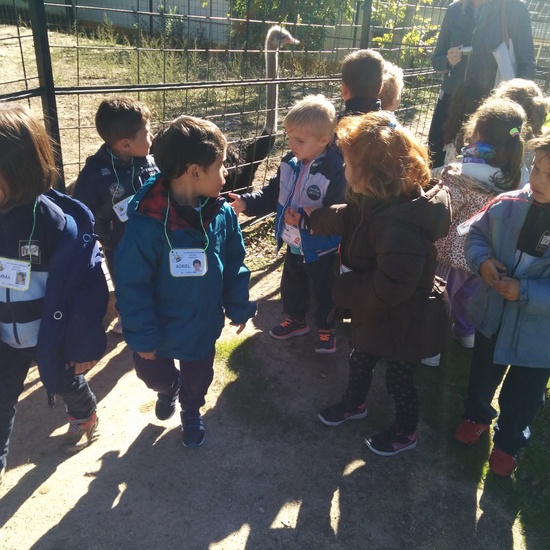 2016_inf 4 años a visita la granja 17