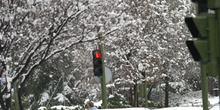 Calles nevadas, Comunidad de Madrid