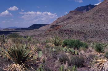 Paisaje de montaña