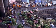 Mercados de verduras y de flores, Calcuta, India
