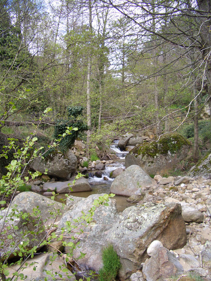 Garganta de montaña