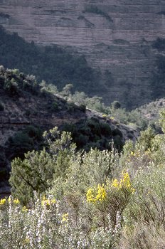 Barranco en el Río Alcanadre, Huesca
