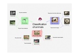 PRIMARIA 1º - CIENCIAS DE LA NATURALEZA - CLASSIFICATION OF ANIMALS